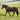 MHS Coperta Showfleece